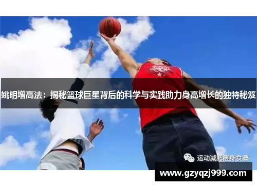 姚明增高法：揭秘篮球巨星背后的科学与实践助力身高增长的独特秘笈