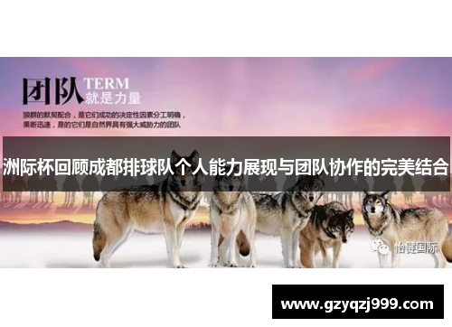 洲际杯回顾成都排球队个人能力展现与团队协作的完美结合