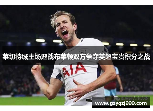 莱切特城主场迎战布莱顿双方争夺英超宝贵积分之战